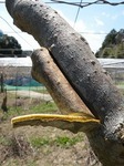 DSCN0069.jpg