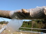DSCN0139.jpg