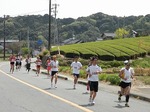 DSCN7049_8517.jpg