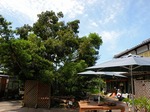 DSCN7677.jpg