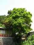 DSCN7688.jpg