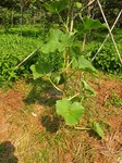 DSCN8011.jpg