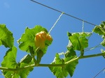 DSCN8062.jpg