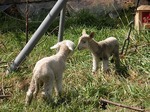 DSCN9775_10237.jpg