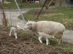 DSCN9855_10317.jpg