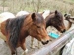 DSCN0345.jpg