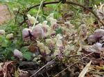 DSCN0347.jpg