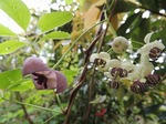 DSCN0351.jpg