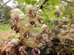 DSCN0375.jpg