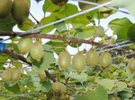 DSCN1360.jpg