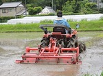 DSCN1405.jpg