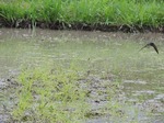 DSCN1430.jpg