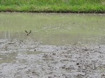 DSCN1431.jpg