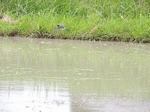 DSCN1454.jpg