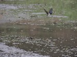 DSCN1513.jpg