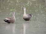 DSCN1528.jpg