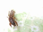 DSCN1727.jpg