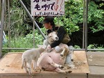 DSCN2735_3643.jpg