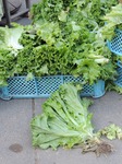DSCN3072.jpg