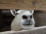 DSCN4947.jpg