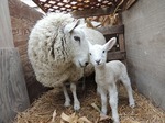 DSCN4956.jpg