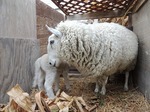 DSCN4967.jpg