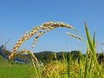 DSCN5810_7488.jpg