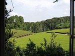 DSCN5971.jpg