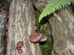 DSCN6866.jpg