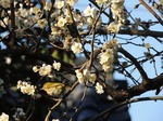 DSCN7973.jpg