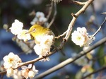 DSCN7975.jpg