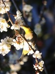 DSCN7978.jpg
