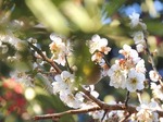DSCN7986.jpg