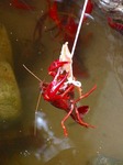 DSCN8465.jpg