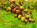 DSCN8564.jpg