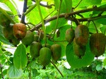 DSCN8571.jpg