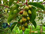 DSCN8574.jpg