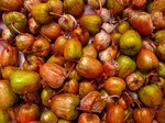 DSCN8584.jpg