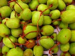 DSCN8585.jpg