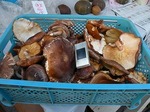 DSCN8690.jpg
