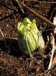 DSCN9341.jpg