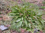 DSCN9659_10121.jpg