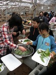 DSCN9722_10184.jpg