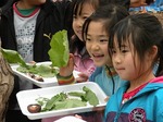 DSCN9730_10192.jpg