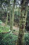 Kiwi !19.jpg